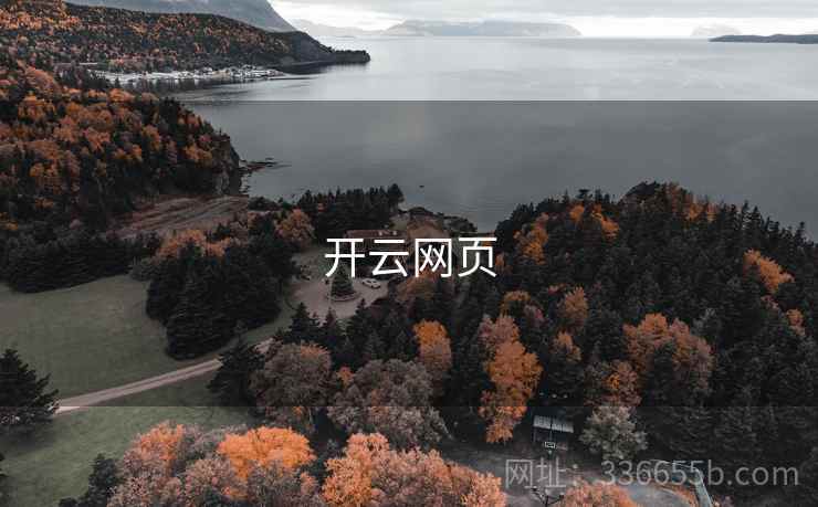 开云网页