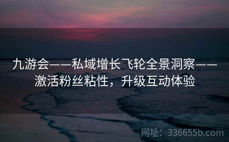 九游会——私域增长飞轮全景洞察——激活粉丝粘性，升级互动体验