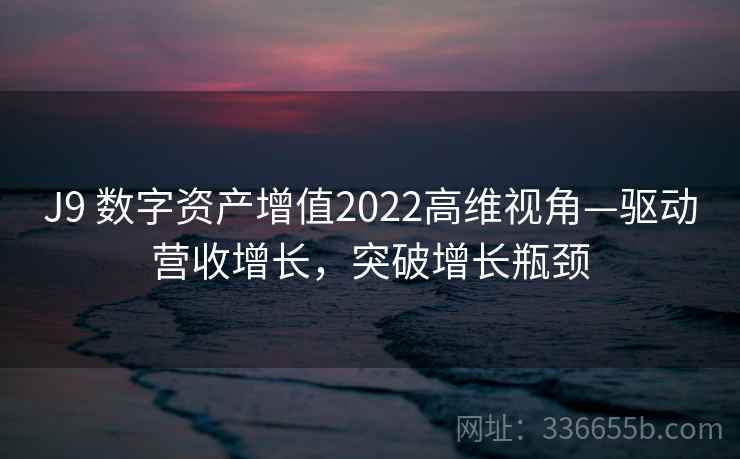 J9 数字资产增值2022高维视角—驱动营收增长，突破增长瓶颈