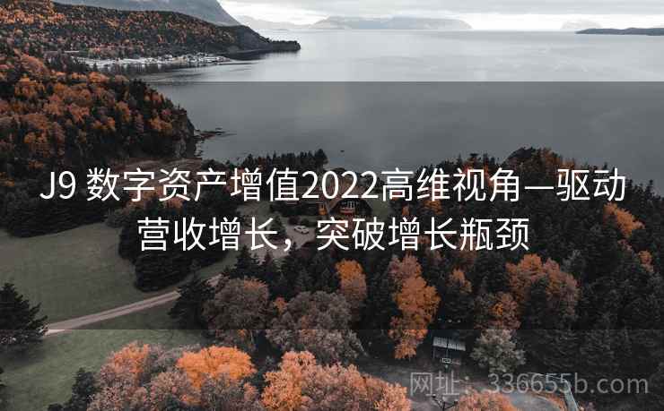 J9 数字资产增值2022高维视角—驱动营收增长，突破增长瓶颈