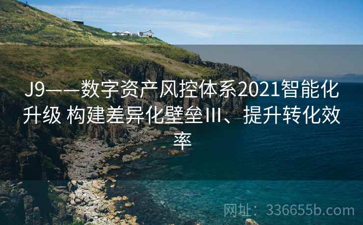 J9——数字资产风控体系2021智能化升级 构建差异化壁垒Ⅲ、提升转化效率