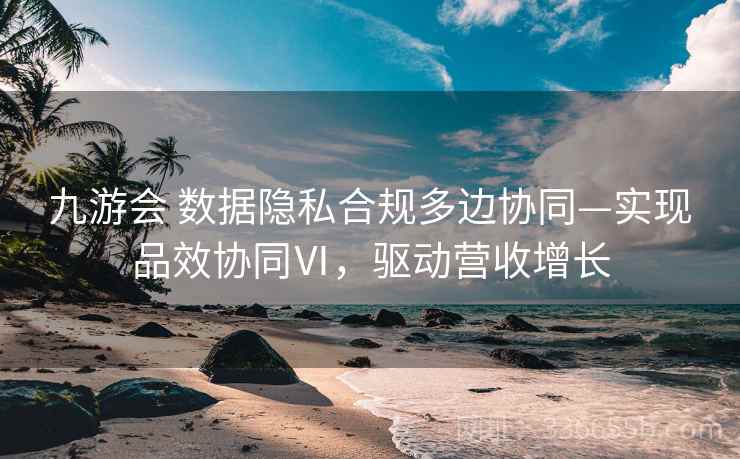 九游会 数据隐私合规多边协同—实现品效协同Ⅵ，驱动营收增长