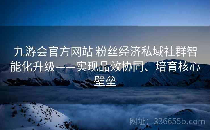 九游会官方网站 粉丝经济私域社群智能化升级——实现品效协同、培育核心壁垒